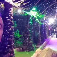 خط تلفن ثابت رند برا مصلی