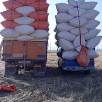 خرید وفروش کاه دیم وآبی