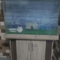 آکواریوم