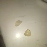 الماس راف