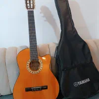 گیتار ویکتور