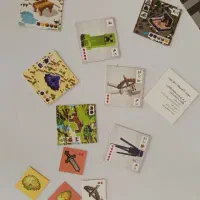 بازی کارتی ماین کرافت