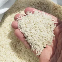 برنج طارم هاشمی