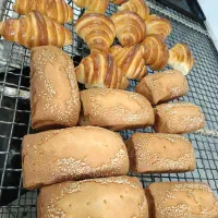 سلام نیرو خانم جوان نیازمندیم
