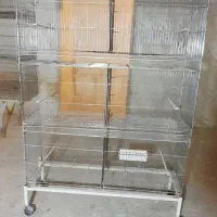 قفس  پرنده سالنی