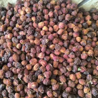 گیلاس خشک پا درختی