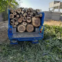 خرید انواع چوب بابالاترین قیمت
