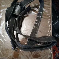 کمربند علامت