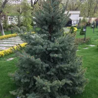 اجاره باغ ویلا در ابسرد