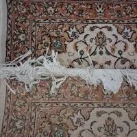 پادری|پادری|تهران, پونک|دیوار