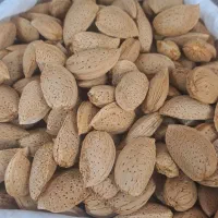بادام درختی درجه یک شبستر