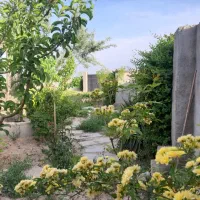 اپارتمان جمهوری