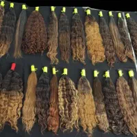 خرید ویژه موی رنگی وبدون رنگ خریدار اصلی