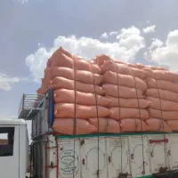 کاه سفید موجود است قیمت توافقی