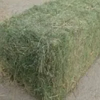 فروش یونجه برای مصرف دام
