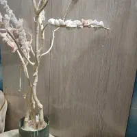 کابینت ام دی اف،معاوضه ۱۵متر موکت پالاز رنگروشن