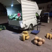 هندوانه ، خربزه ، جانا