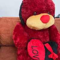 عروسک خرسی نو