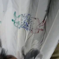 کفتر گروی