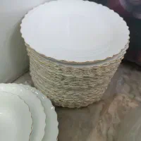 دیس و بشقاب پلو خوری