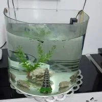 اکواریوم شیشه خم