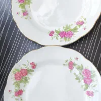 پیش دستی قدیمی اصلی گل سرخی