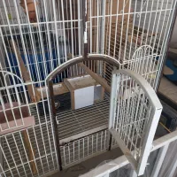قفس دست ساز کاسکو و طوطی های  بزرگ