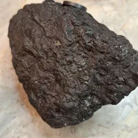 شهاب سنگ و فسیل