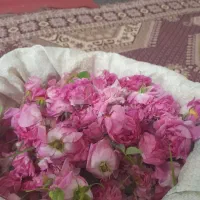 قیمت ۱۵۰۰۰،۰۰