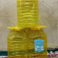 پت 10کیلویی