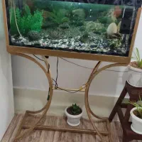 آکواریوم