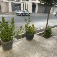 رهن-و-اجاره-تجاری-بازار-محله
