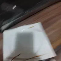 بشقاب فرانسه