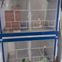 قفس تاپ ایتالیایی ۴ عدد