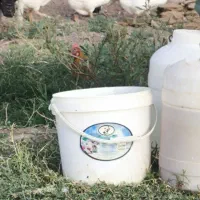 قوغاز اوکراینی