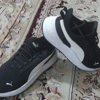 کفش هانونو