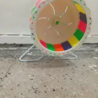 چرخ فلق همستر