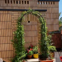 گروه توسعه معماری مانا