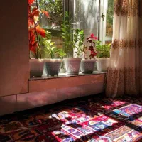 خانه 60 متری صابونی