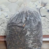 چای سیاه و چای سبز بهاره لاهیجان