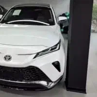 حواله جانبازی شرکتی واریزدار وایلدلندر کمری C200