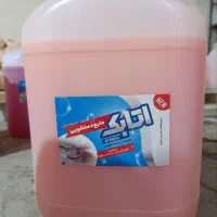 شوینده نارویل (اتابک)