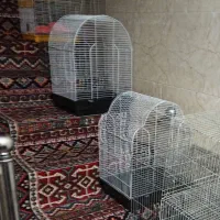 قفس فانتزی