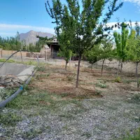 فروش نان خشک