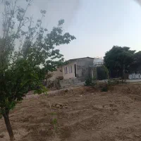 باغ یکانه