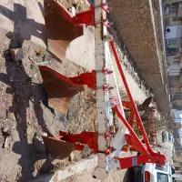 گاو اهن علیزاده در حد خشک