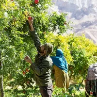 زمین 3000 متر در ملارد