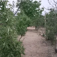 باغ دنج و آرام در شوراب صغیر
