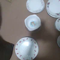 ظروف چینی  گل قرمز