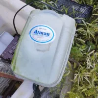وان ماهی با دستگاه اکسیژن